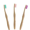 Aanbevolen Bamboe Tandenborstel van DB: Groen + Roze + Paars