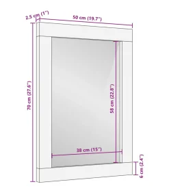 Badkamerspiegel 50x70x2,5 cm massief mangohout en glas
