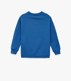 Blauw Sweatshirt Dino Print Lange Mouwen Katoen