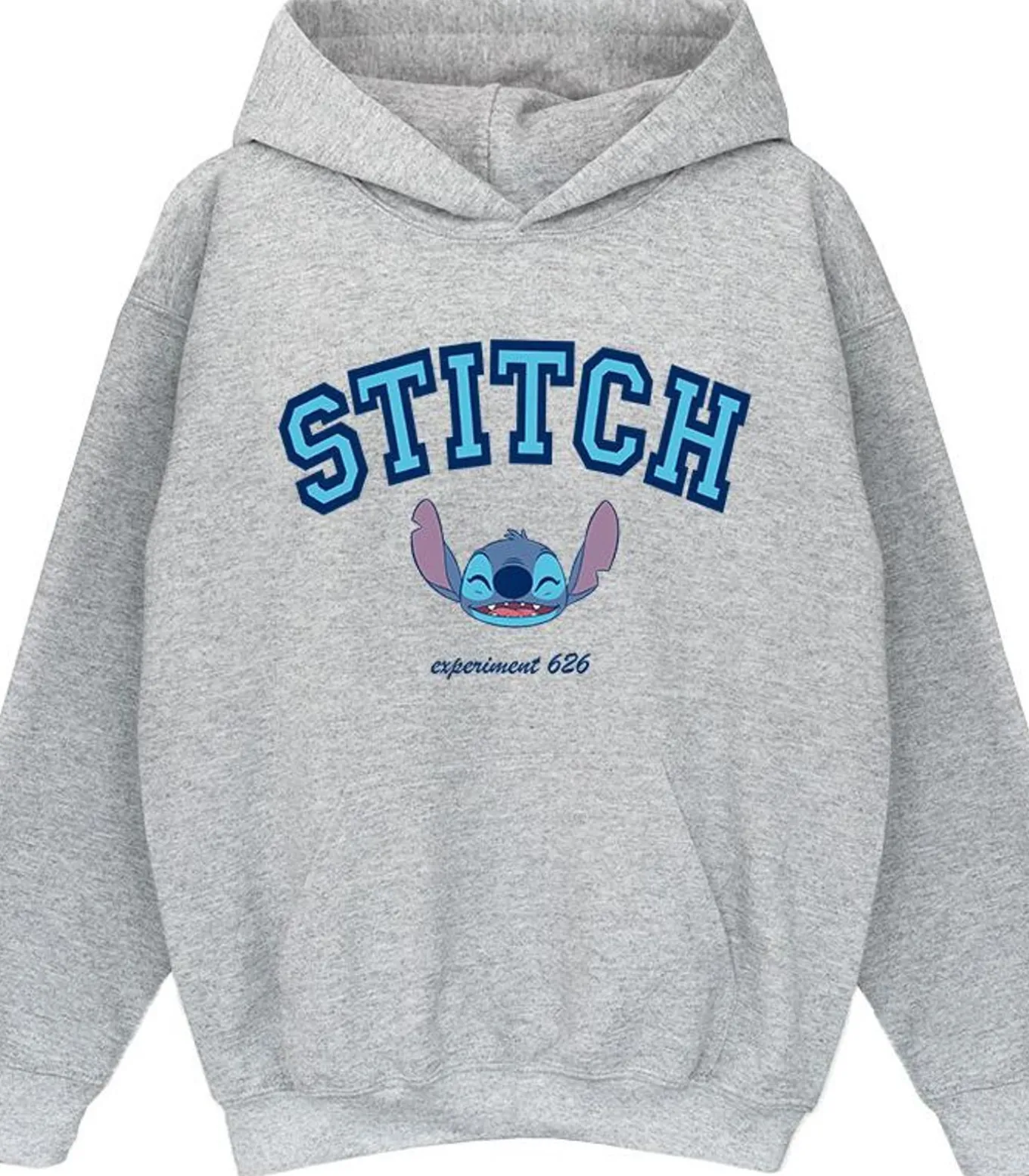 COLLEGIATE - Trui met kap - Grijs