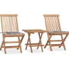 3-delige Tuinset inklapbaar met kussen massief teakhout