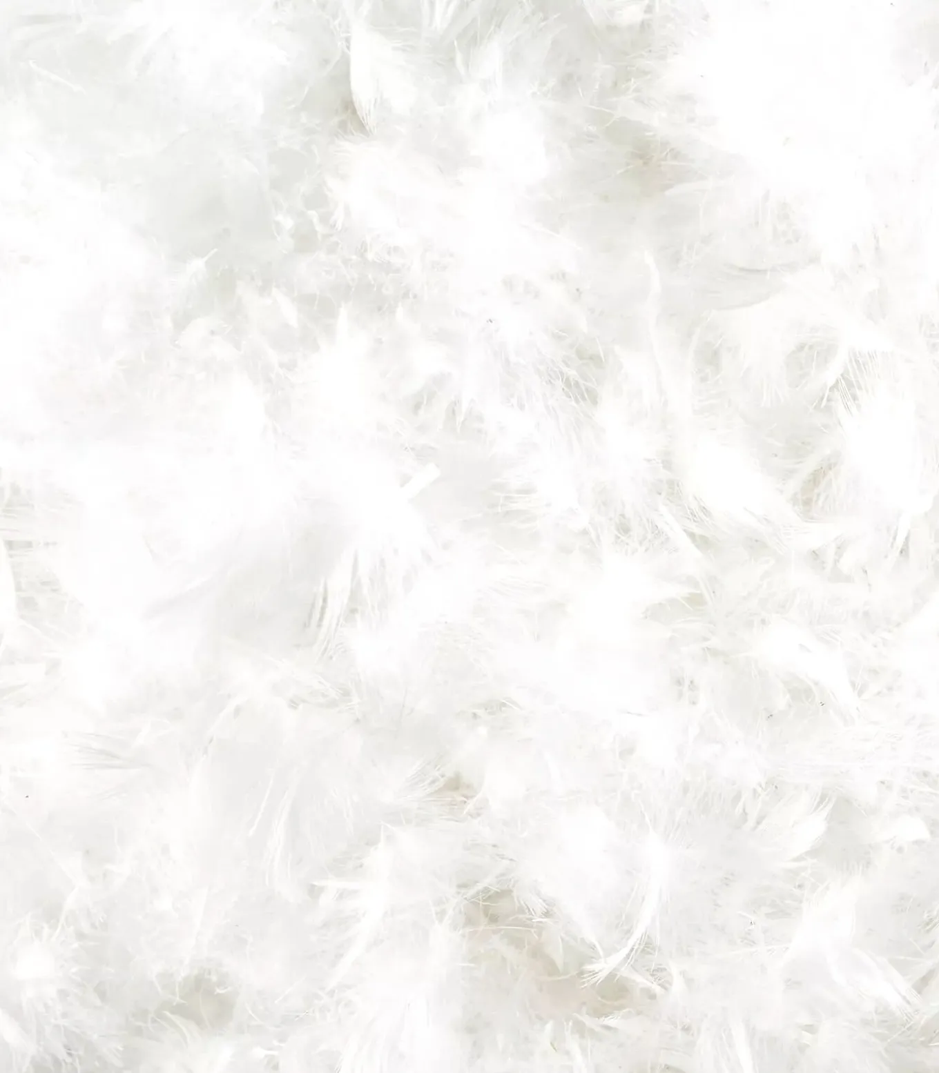 Donzen Kussen – Luxe van Woodek