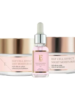 EGF Dag Moisturizer + EGF Nacht Moisturier + Rozenbloesem Gezichtsolie