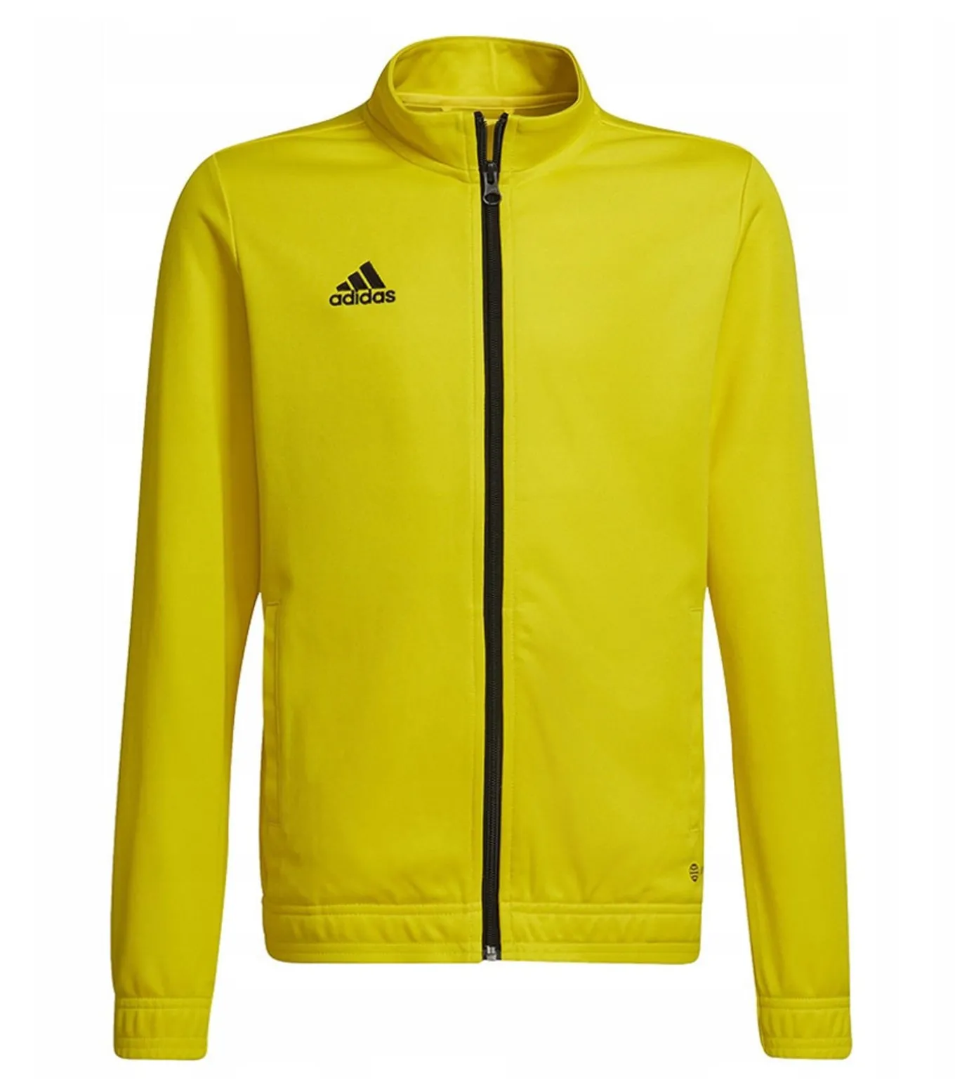 ENTRADA 22 - Jasje - Geel