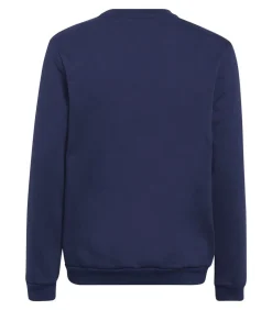 ENTRADA 22 - Trui met kap - Marineblauw