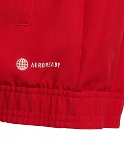 ENTRADA 22 PRESENTATION - Jasje - Rood