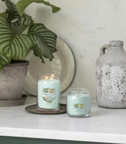 Geurkaars Aloe & Agave Signature Medium Jar