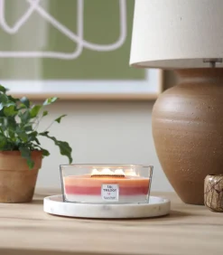 Geurkaars Trilogy Blooming Orchard Ellipse Candle