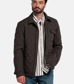 Giordano Alfio Jack – Bruin