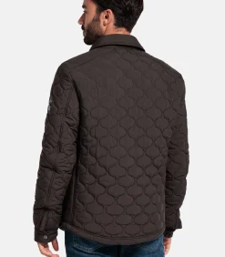 Giordano Alfio Jack – Bruin