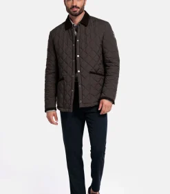 Giordano Palermo Jack – Bruin