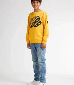 Grafische Sweater Allegheny