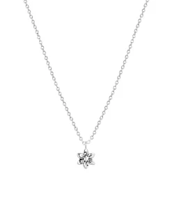 Ketting Zilver 45 cm - Zilverkleurig