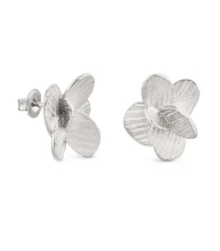 Kleine zilveren oorbellen Pampalonia