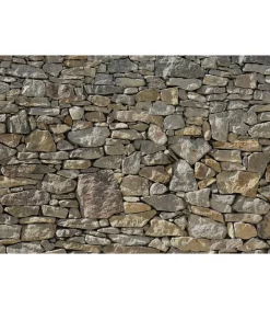 Komar Fotobehang Stone Wall 368x254 cm 8-727