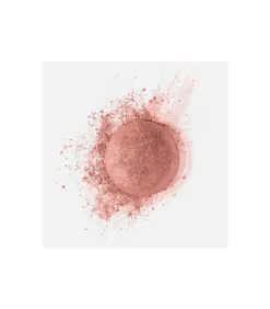 Little Round Pot Poeder Blush - 85 Sienne