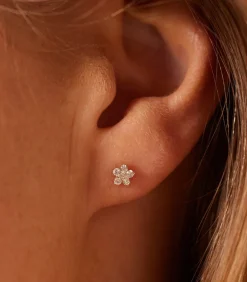 Oorbellen 14 Karaat Goud