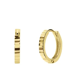 Oorbellen 14 Karaat Goud