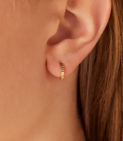 Oorbellen 14 Karaat Goud