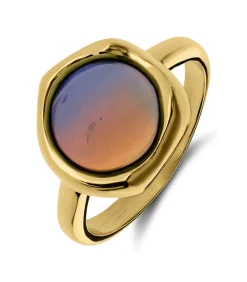 Ring Staal - Goudkleurig