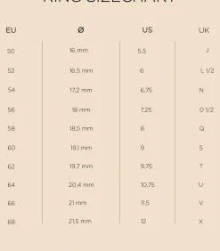 Ring voor mannen, roestvrij staal