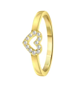 Ring Zilver - goudkleurig