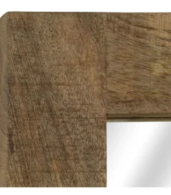 Spiegel 50x80 cm massief mangohout