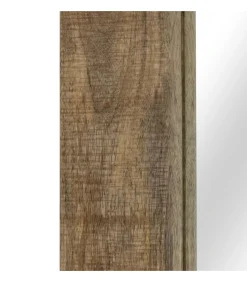 Spiegel 50x80 cm massief mangohout
