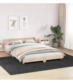 Tapijt Donkergrijs 240 x 340 cm Polypropyleen