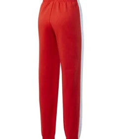 TE LINEAR FL - Joggingbroek - Rood