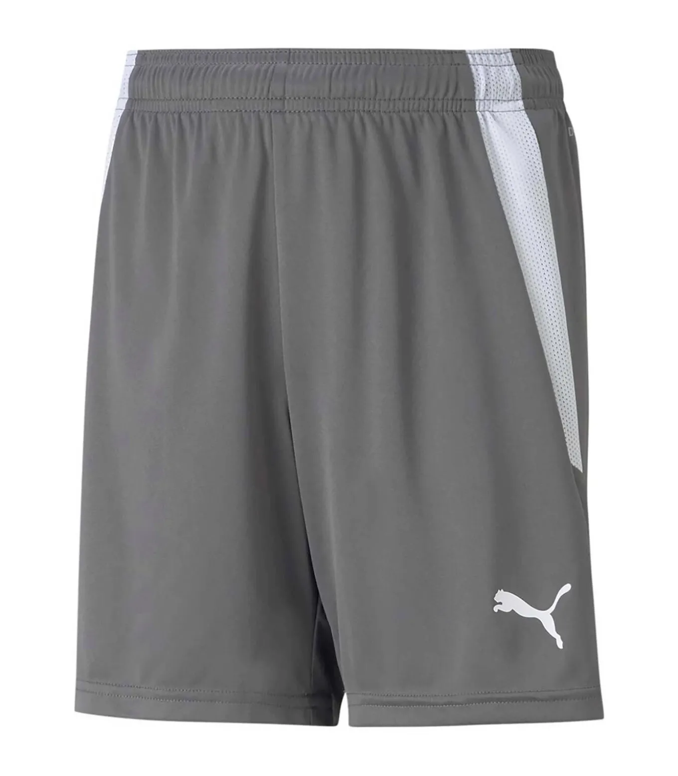 Teamliga Shorts Jr