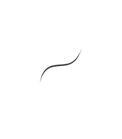 Vloeibare Eyeliner Infallible Grip Micro Fine Brush - 01 Obsedienn