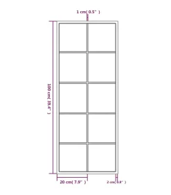 Wandspiegels 2 st 100x40 cm metaal zwart