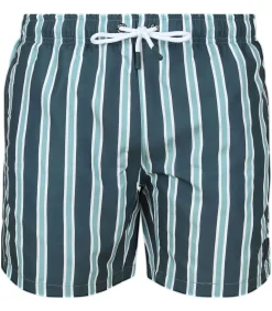 Zwembroek Stripe Groen