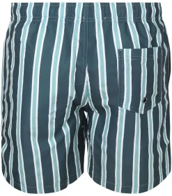 Zwembroek Stripe Groen